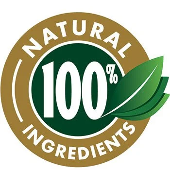 Leanzene all natural vegan ingredients
